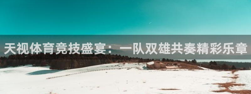 小九足球直播在线观看：天视体育竞技盛宴：一队双雄共奏精彩乐章
