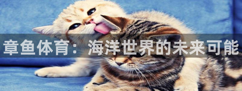 小九直播下载：章鱼体育：海洋世界的未来可能