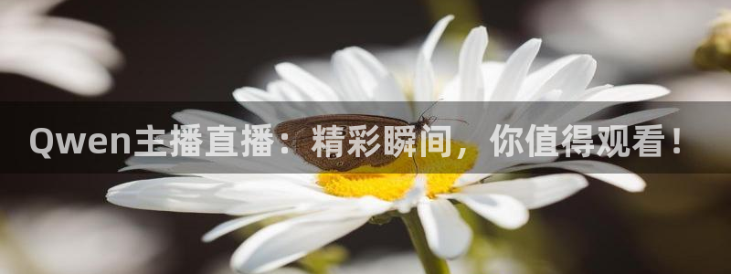 小九体育直播足球：Qwen主播直播：精彩瞬间，你值得观看！