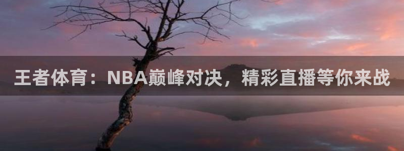 nba在线直播免费观看直播小九直播：王者体育：NBA巅峰对决，精彩直播等你来战