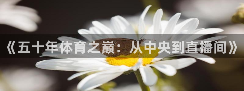 足球直播小九直播在线观看：《五十年体育之巅：从中央到直播间》
