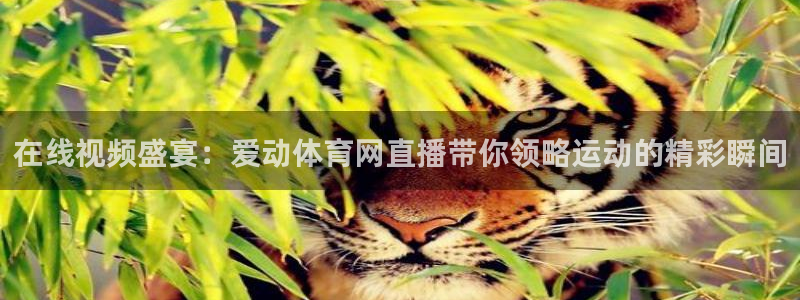 小九nba直播在线观看高清免费：在线视频盛宴：爱动体育网直播带你领略运动的精彩瞬间