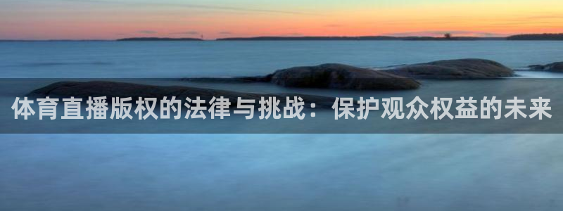 小九体育直播入口：体育直播版权的法律与挑战：保护观众权益的未来