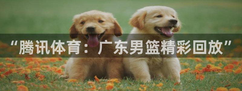 nba直播免费观看直播在线小九：“腾讯体育：广东男篮精彩回放”