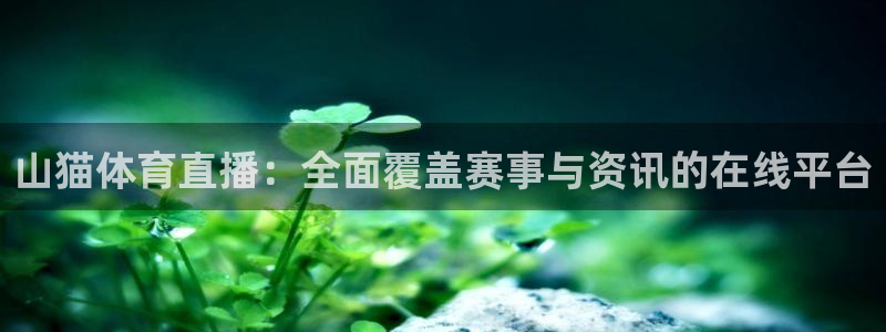 小九体育直播在线观看免费高清：山猫体育直播：全面覆盖赛事与资讯的在线平台