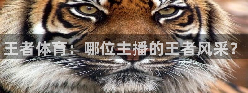 nba直播免费观看直播在线小九直播：王者体育：哪位主播的王者风采？