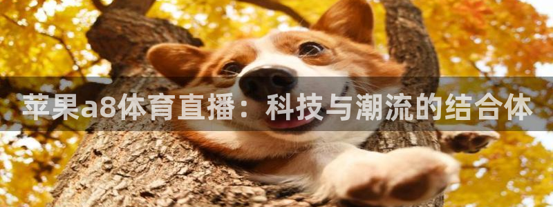 nba小九直播免费观看：苹果a8体育直播：科技与潮流的结合体