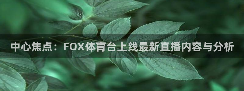 小九直播：中心焦点：FOX体育台上线最新直播内容与分析